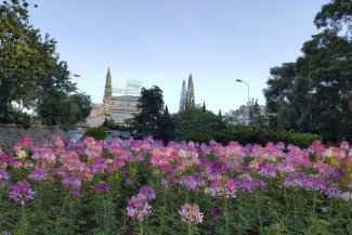 Da Lat Muslim Tour 3 Days