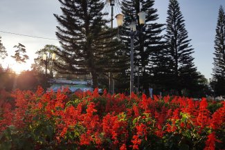 z4202551287129 61edb6aa19ca4cbebeb8652e2ad7f96e