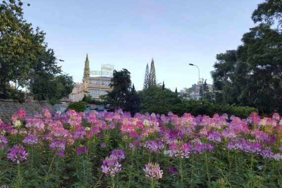 Da Lat Muslim Tour 3 Days