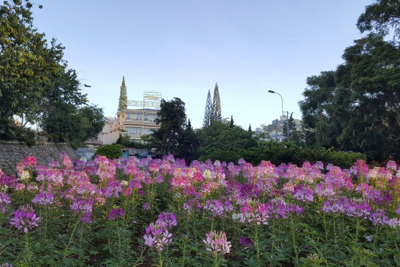 Da Lat Muslim Tour 3 Days