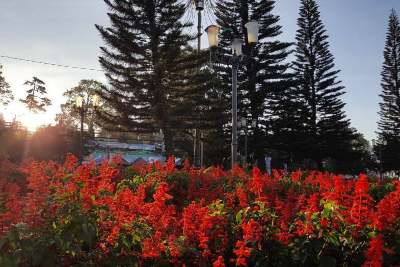 z4202551287129 61edb6aa19ca4cbebeb8652e2ad7f96e