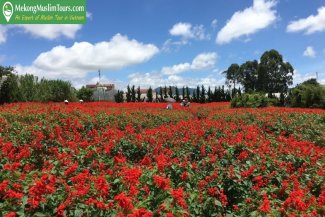 Best of Saigon and Da Lat Muslim Tour 3 Days