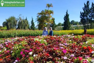 mekkongmuslimtour-dalatmuslimtour3days4