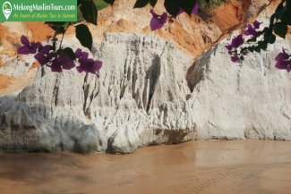 mekkongmuslimtour-saigonmuinemuslimtour1