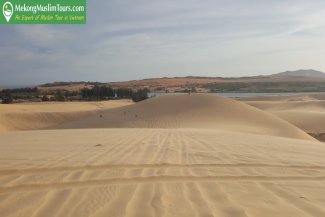 Best of Hochiminh City (Saigon) - Mui Ne Muslim Tour 2 Days