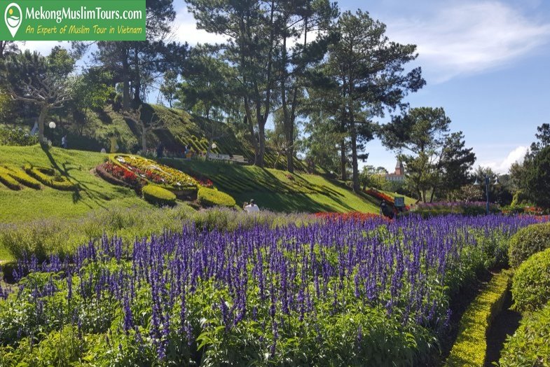 Da Lat and Mui Ne Muslim Tour 4 Days from Saigon
