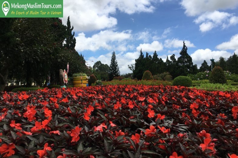 mekkongmuslimtour-dalatmuslimtour3days2