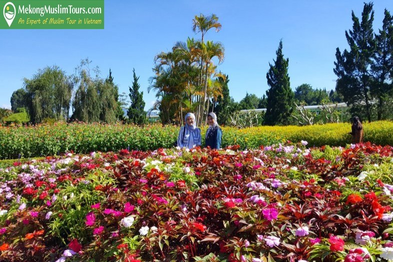 mekkongmuslimtour-dalatmuslimtour3days4