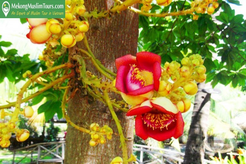 mekkongmuslimtour-specialcitytour4